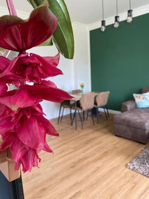 2-Zimmer Zentral In Ferdinandshof, Wlan Modern ภายนอก รูปภาพ