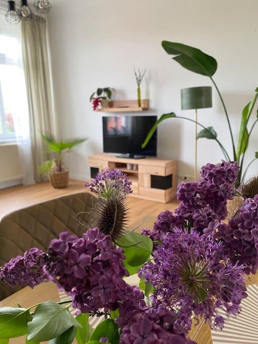 2-Zimmer Zentral In Ferdinandshof, Wlan Modern ภายนอก รูปภาพ